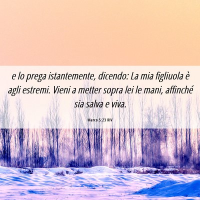 Picture 06 - Marco 5:23 RIV - e lo prega istantemente, dicendo: La mia - Bible Verse Picture