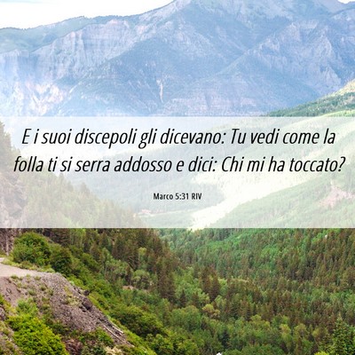 Picture 06 - Marco 5:31 RIV - E i suoi discepoli gli dicevano: Tu vedi come la - Bible Verse Picture