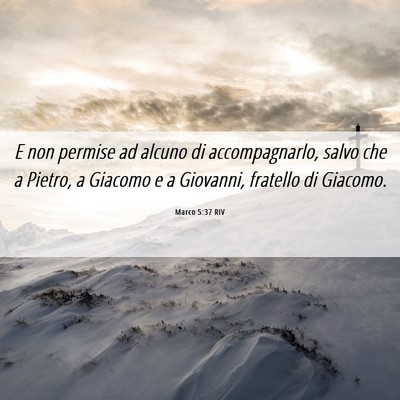 Picture 06 - Marco 5:37 RIV - E non permise ad alcuno di accompagnarlo, salvo - Bible Verse Picture