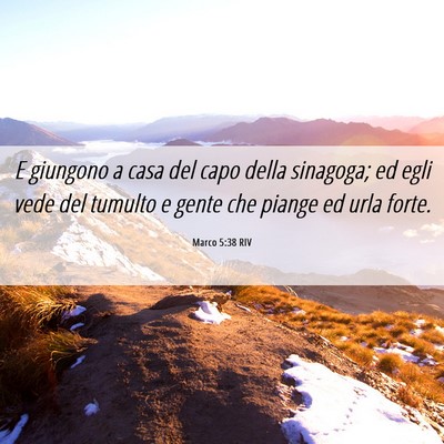 Picture 06 - Marco 5:38 RIV - E giungono a casa del capo della sinagoga; ed - Bible Verse Picture