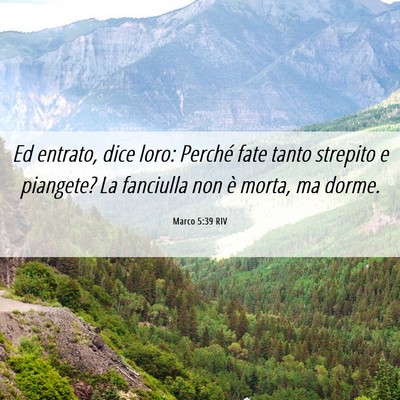 Picture 06 - Marco 5:39 RIV - Ed entrato, dice loro: Perché fate tanto - Bible Verse Picture