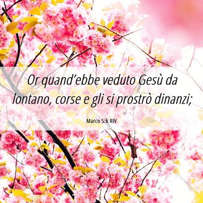 Picture 06 - Marco 5:6 RIV - Or quand’ebbe veduto Gesù da lontano, corse e - Bible Verse Picture