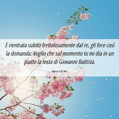 Picture 06 - Marco 6:25 RIV - E rientrata subito frettolosamente dal re, gli - Bible Verse Picture
