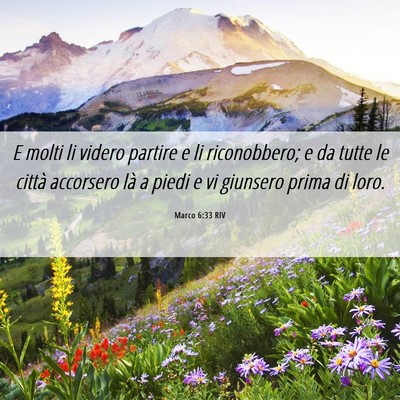 Picture 06 - Marco 6:33 RIV - E molti li videro partire e li riconobbero; e da - Bible Verse Picture