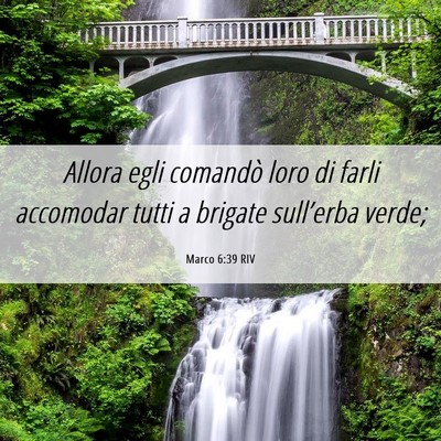 Picture 06 - Marco 6:39 RIV - Allora egli comandò loro di farli accomodar - Bible Verse Picture