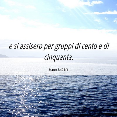 Picture 06 - Marco 6:40 RIV - e si assisero per gruppi di cento e di - Bible Verse Picture