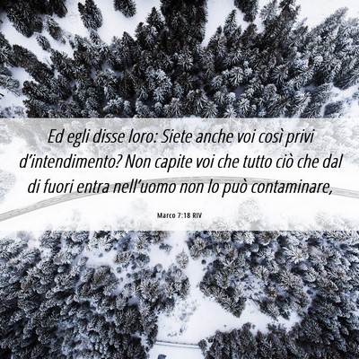 Picture 06 - Marco 7:18 RIV - Ed egli disse loro: Siete anche voi così privi - Bible Verse Picture