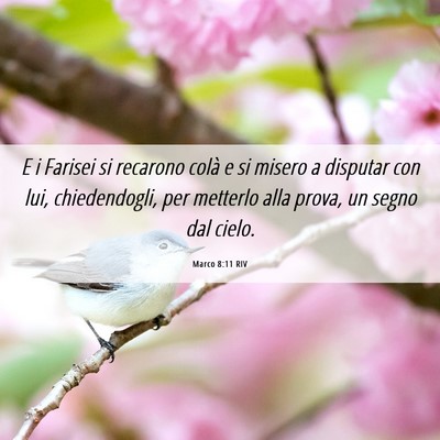 Picture 06 - Marco 8:11 RIV - E i Farisei si recarono colà e si misero a - Bible Verse Picture