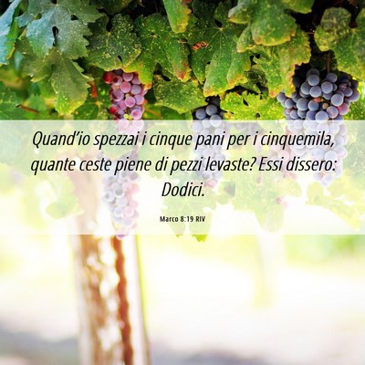 Picture 06 - Marco 8:19 RIV - Quand’io spezzai i cinque pani per i - Bible Verse Picture