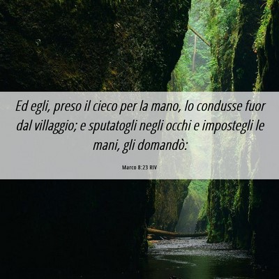 Picture 06 - Marco 8:23 RIV - Ed egli, preso il cieco per la mano, lo condusse - Bible Verse Picture