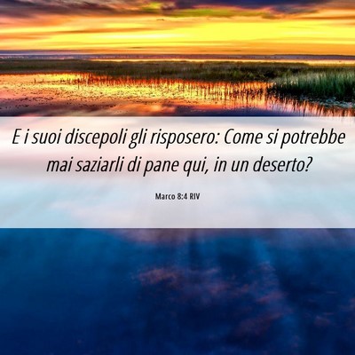 Picture 06 - Marco 8:4 RIV - E i suoi discepoli gli risposero: Come si - Bible Verse Picture