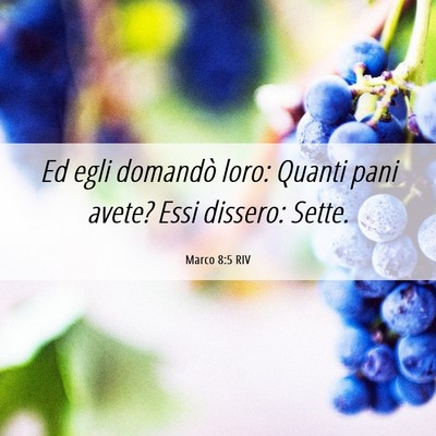 Picture 06 - Marco 8:5 RIV - Ed egli domandò loro: Quanti pani avete? Essi - Bible Verse Picture