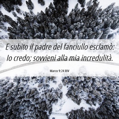 Picture 06 - Marco 9:24 RIV - E subito il padre del fanciullo esclamò: Io - Bible Verse Picture