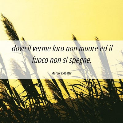 Picture 06 - Marco 9:46 RIV - dove il verme loro non muore ed il fuoco non si - Bible Verse Picture