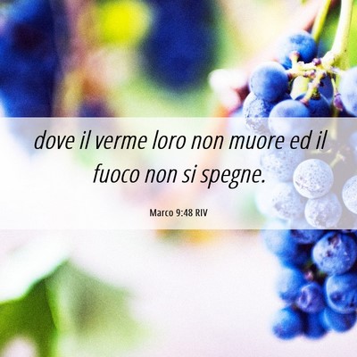 Picture 06 - Marco 9:48 RIV - dove il verme loro non muore ed il fuoco non si - Bible Verse Picture