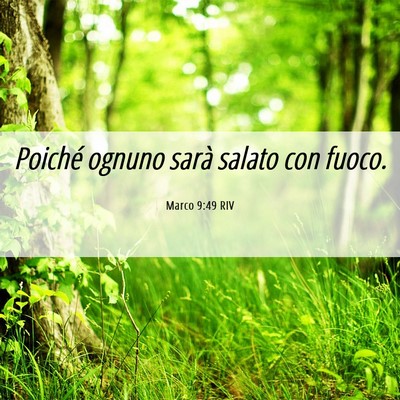 Picture 06 - Marco 9:49 RIV - Poiché ognuno sarà salato con - Bible Verse Picture