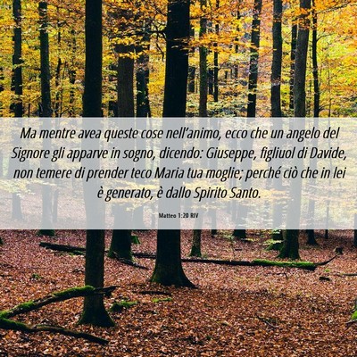 Picture 06 - Matteo 1:20 RIV - Ma mentre avea queste cose nell’animo, ecco che - Bible Verse Picture