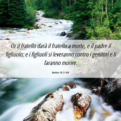 Picture 06 - Matteo 10:21 RIV - Or il fratello darà il fratello a morte, e il - Bible Verse Picture
