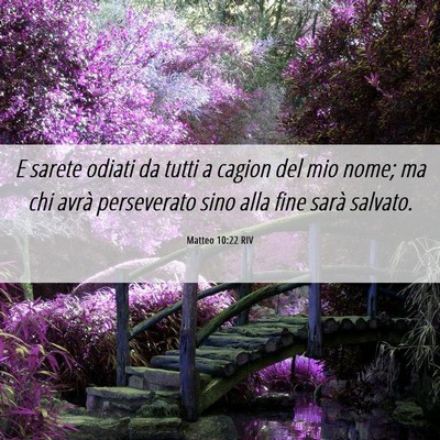 Picture 06 - Matteo 10:22 RIV - E sarete odiati da tutti a cagion del mio nome; - Bible Verse Picture