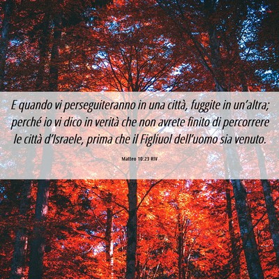 Picture 06 - Matteo 10:23 RIV - E quando vi perseguiteranno in una città, - Bible Verse Picture