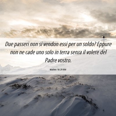 Picture 06 - Matteo 10:29 RIV - Due passeri non si vendon essi per un soldo? - Bible Verse Picture