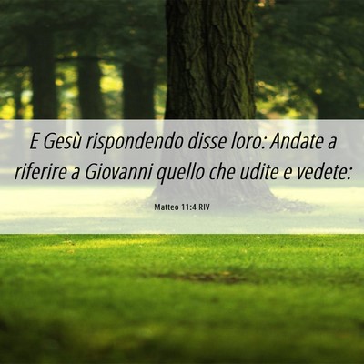 Picture 06 - Matteo 11:4 RIV - E Gesù rispondendo disse loro: Andate a riferire - Bible Verse Picture