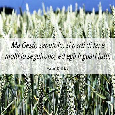 Picture 06 - Matteo 12:15 RIV - Ma Gesù, saputolo, si partì di là; e molti lo - Bible Verse Picture