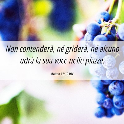Picture 06 - Matteo 12:19 RIV - Non contenderà, né griderà, né alcuno udrà - Bible Verse Picture