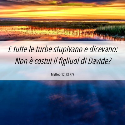 Picture 06 - Matteo 12:23 RIV - E tutte le turbe stupivano e dicevano: Non è - Bible Verse Picture