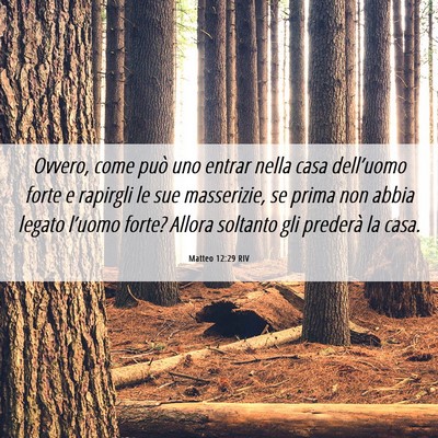 Picture 06 - Matteo 12:29 RIV - Ovvero, come può uno entrar nella casa - Bible Verse Picture