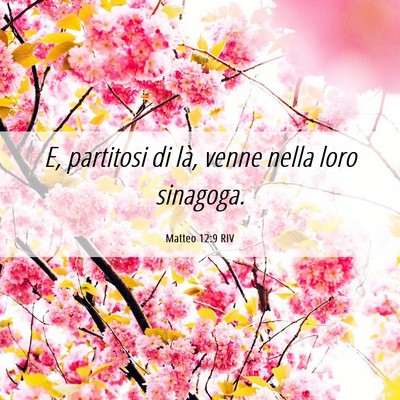 Picture 06 - Matteo 12:9 RIV - E, partitosi di là, venne nella loro - Bible Verse Picture