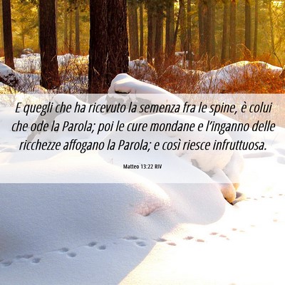 Picture 06 - Matteo 13:22 RIV - E quegli che ha ricevuto la semenza fra le spine, - Bible Verse Picture