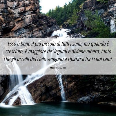 Picture 06 - Matteo 13:32 RIV - Esso è bene il più piccolo di tutti i semi; ma - Bible Verse Picture