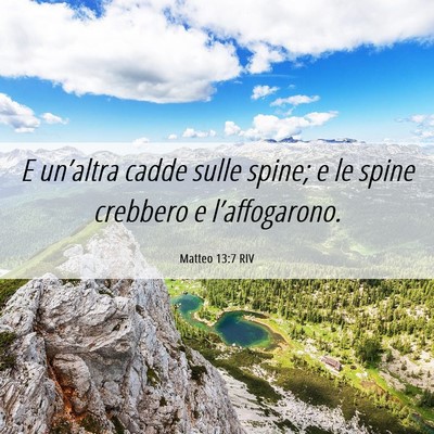 Picture 06 - Matteo 13:7 RIV - E un’altra cadde sulle spine; e le spine - Bible Verse Picture