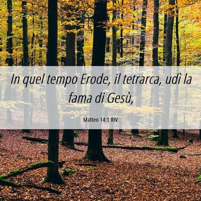 Picture 06 - Matteo 14:1 RIV - In quel tempo Erode, il tetrarca, udì la fama di - Bible Verse Picture