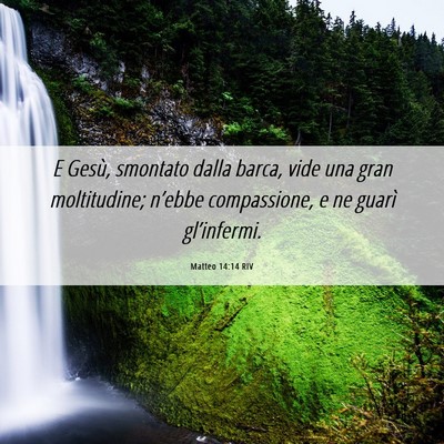 Picture 06 - Matteo 14:14 RIV - E Gesù, smontato dalla barca, vide una gran - Bible Verse Picture