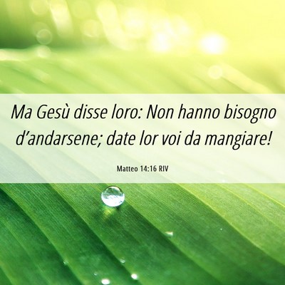 Picture 06 - Matteo 14:16 RIV - Ma Gesù disse loro: Non hanno bisogno - Bible Verse Picture
