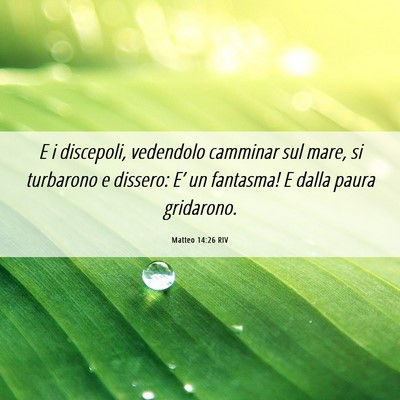 Picture 06 - Matteo 14:26 RIV - E i discepoli, vedendolo camminar sul mare, si - Bible Verse Picture