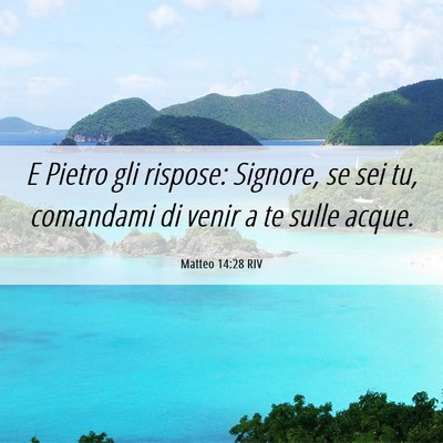 Picture 06 - Matteo 14:28 RIV - E Pietro gli rispose: Signore, se sei tu, - Bible Verse Picture