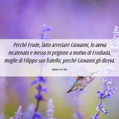 Picture 06 - Matteo 14:3 RIV - Perché Erode, fatto arrestare Giovanni, lo aveva - Bible Verse Picture