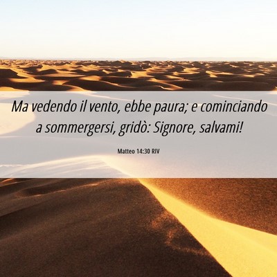 Picture 06 - Matteo 14:30 RIV - Ma vedendo il vento, ebbe paura; e cominciando a - Bible Verse Picture
