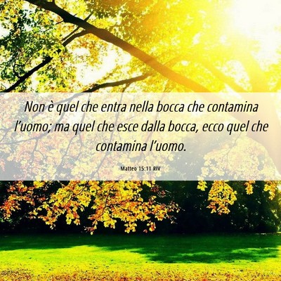 Picture 06 - Matteo 15:11 RIV - Non è quel che entra nella bocca che contamina - Bible Verse Picture