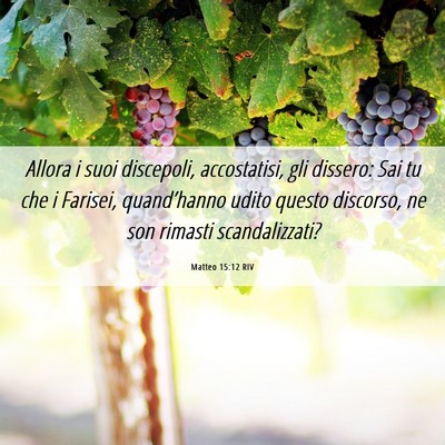 Picture 06 - Matteo 15:12 RIV - Allora i suoi discepoli, accostatisi, gli - Bible Verse Picture