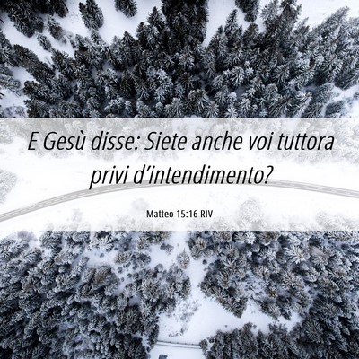 Picture 06 - Matteo 15:16 RIV - E Gesù disse: Siete anche voi tuttora privi - Bible Verse Picture