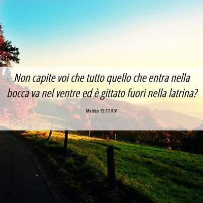 Picture 06 - Matteo 15:17 RIV - Non capite voi che tutto quello che entra nella - Bible Verse Picture