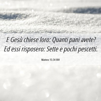 Picture 06 - Matteo 15:34 RIV - E Gesù chiese loro: Quanti pani avete? Ed essi - Bible Verse Picture