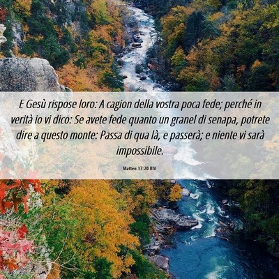 Picture 06 - Matteo 17:20 RIV - E Gesù rispose loro: A cagion della vostra poca - Bible Verse Picture