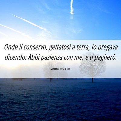 Picture 06 - Matteo 18:29 RIV - Onde il conservo, gettatosi a terra, lo pregava - Bible Verse Picture