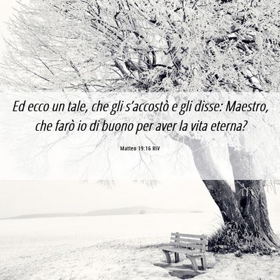 Picture 06 - Matteo 19:16 RIV - Ed ecco un tale, che gli s’accostò e gli - Bible Verse Picture