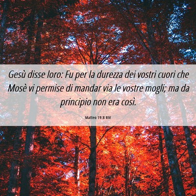 Picture 06 - Matteo 19:8 RIV - Gesù disse loro: Fu per la durezza dei vostri - Bible Verse Picture